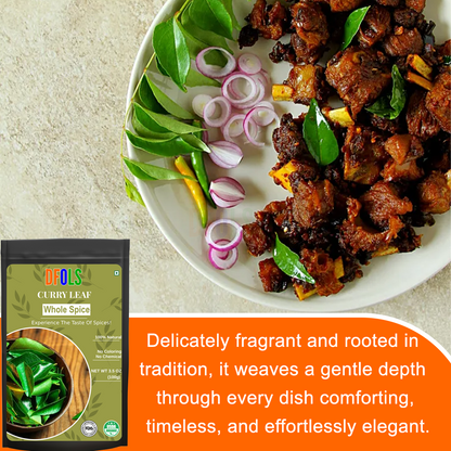 DFOLS Curry Leaf Whole Spice Cooking 0.22lb 3.5oz 100g カレーリーフ