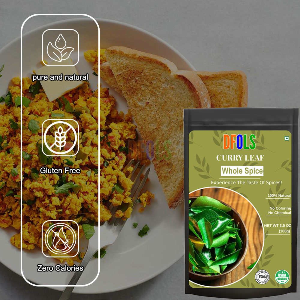 DFOLS Curry Leaf Whole Spice Cooking 0.22lb 3.5oz 100g カレーリーフ