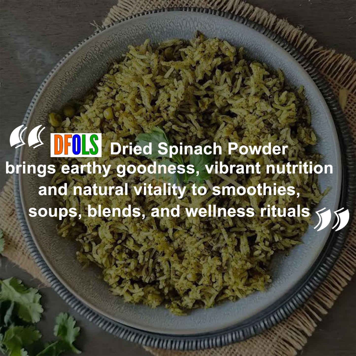 Organic Dried Spinach Powder | Nutrient-Rich Superfood | High in Iron & Antioxidants | Ideal for Smoothies, Cooking, Baking, Juices & Supplements | Pure, Natural, Vegan, Gluten-Free