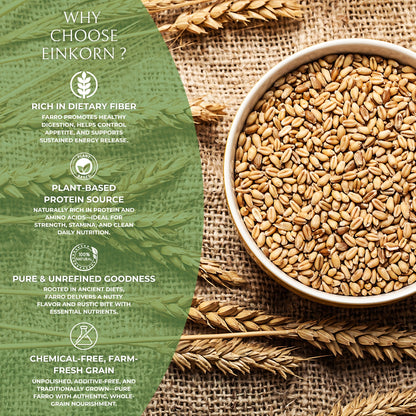 DFOLS Organic Einkorn | Natural, High-Protein, Fiber-Rich, Pesticide-Free Superfood | Premium Whole Grain for Healthy Cooking