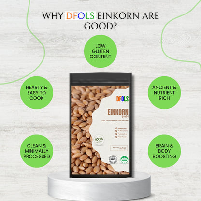 DFOLS Organic Einkorn | Natural, High-Protein, Fiber-Rich, Pesticide-Free Superfood | Premium Whole Grain for Healthy Cooking