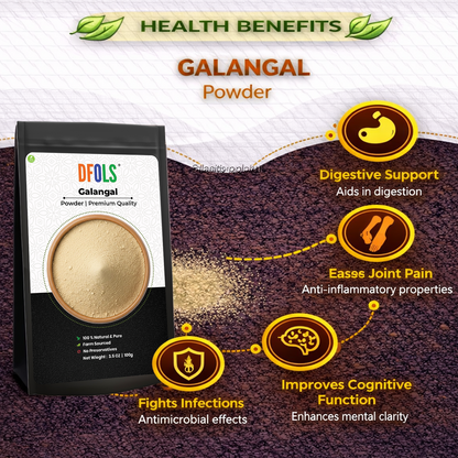 Dfols Galangal Powder 100g (3.5oz / 0.22lb) Pure Natural Spice – ガランガルパウダー