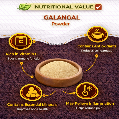 Dfols Galangal Powder 100g (3.5oz / 0.22lb) Pure Natural Spice – ガランガルパウダー