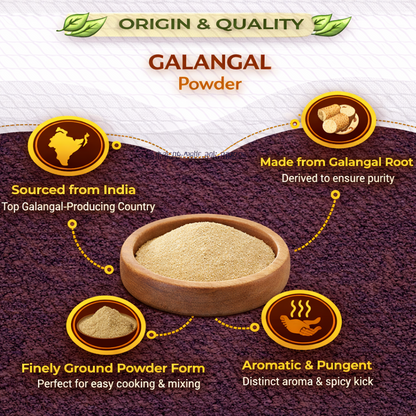 Dfols Galangal Powder 100g (3.5oz / 0.22lb) Pure Natural Spice – ガランガルパウダー