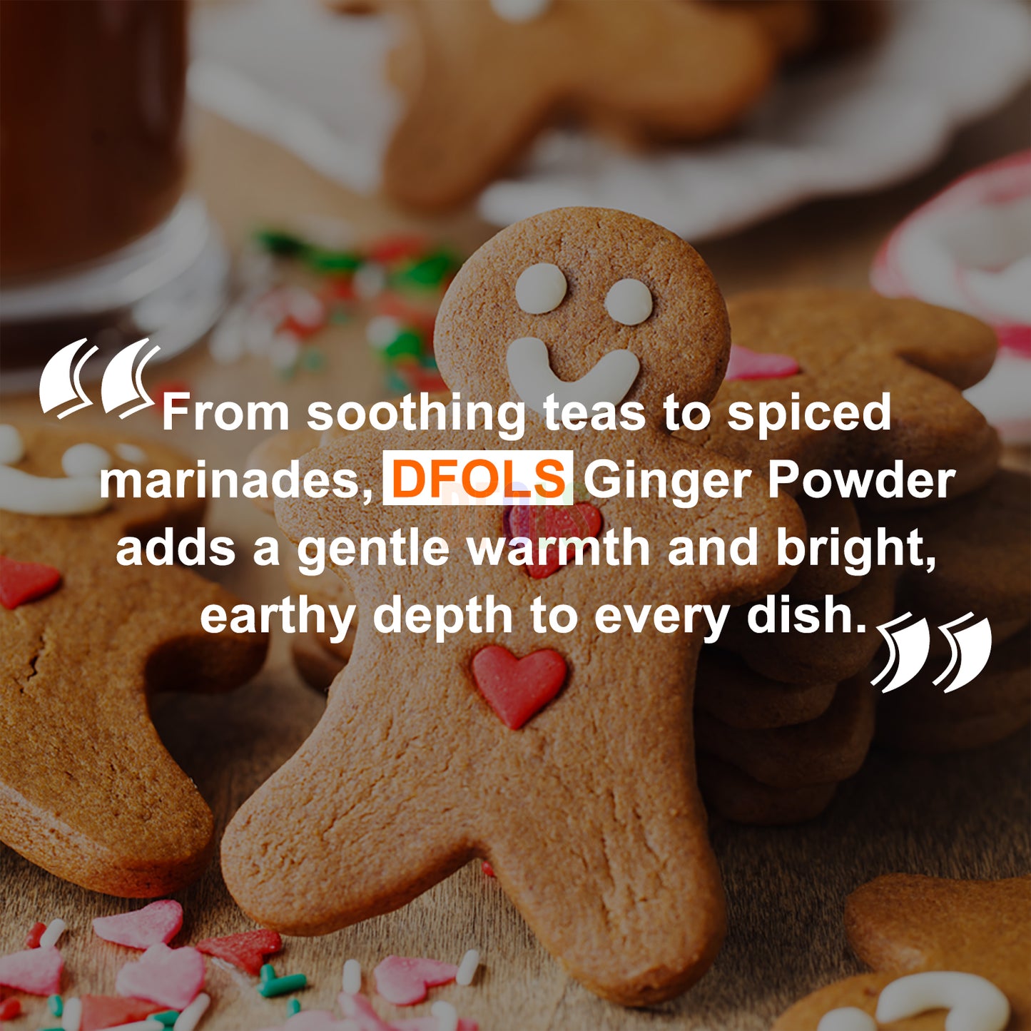 Pure Ground Ginger Powder | Fresh, Zesty & Aromatic | Ideal for Cooking, Baking, Curry, Sauces, Soups, Tea & Health Drinks | Natural Fine Spice for Daily Kitchen Use - DFOLS
