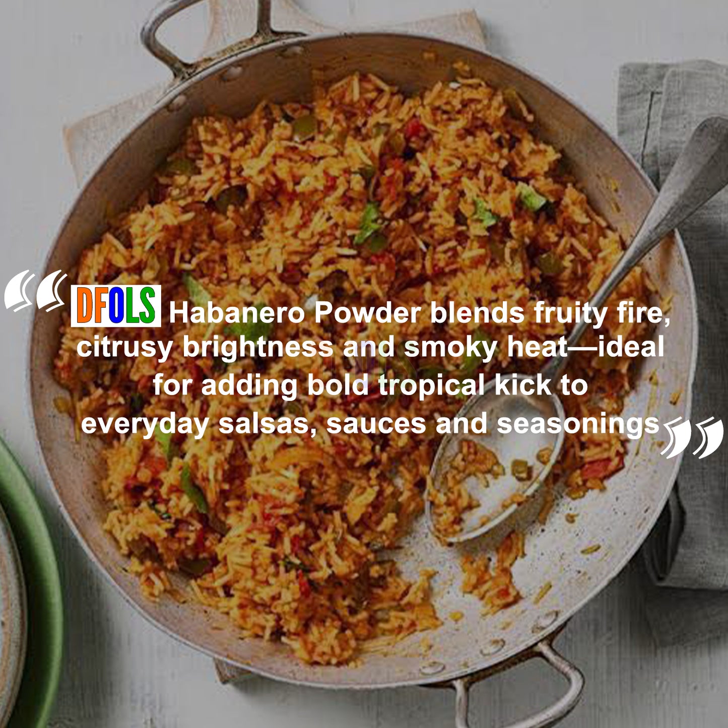 All-Natural Spicy Spice Blend (XX oz) | Bold Heat & Rich Flavor | Ideal for Hot Sauces, Marinades, BBQ, Grilling, Meat Rubs, Curry, Stir-Fry & Everyday Cooking - DFOLS