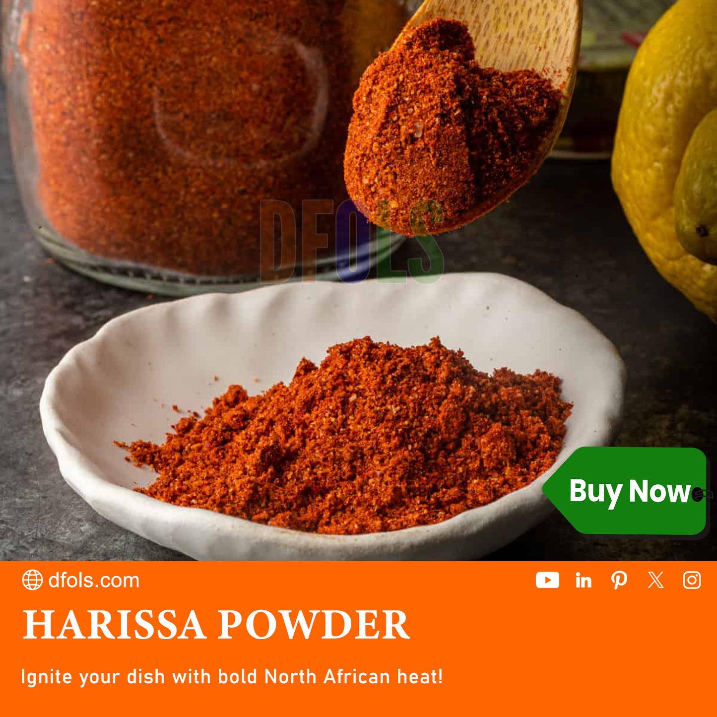 Organic Harissa Powder – Bold Moroccan Chili Seasoning for Heat & Depth | Great for Meats, Soups, Sauces & Veggies | No Salt, Vegan, Non-GMO, Authentic & All-Natural Spice - DFOLS
