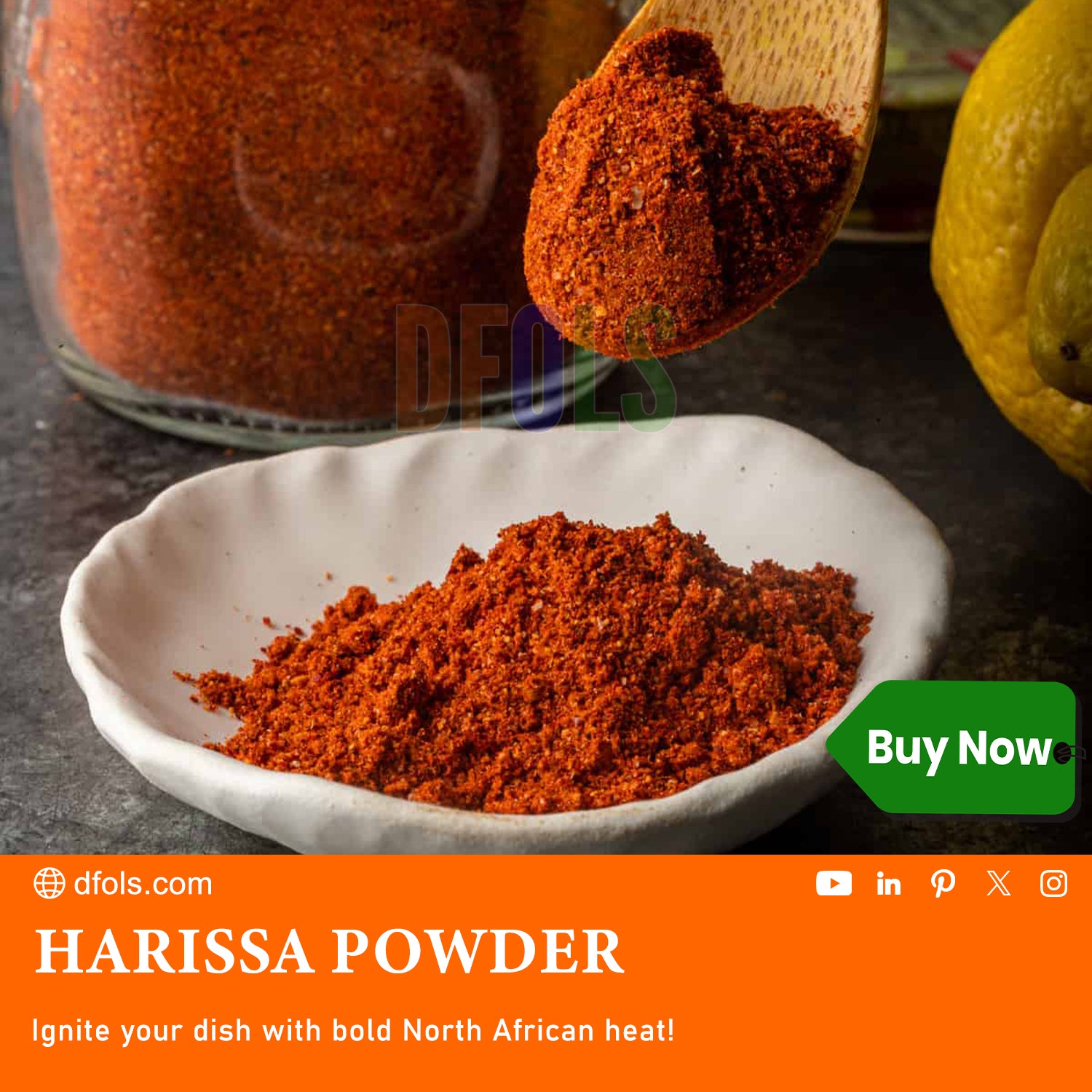Organic Harissa Powder – Bold Moroccan Chili Seasoning for Heat & Depth | Great for Meats, Soups, Sauces & Veggies | No Salt, Vegan, Non-GMO, Authentic & All-Natural Spice - DFOLS