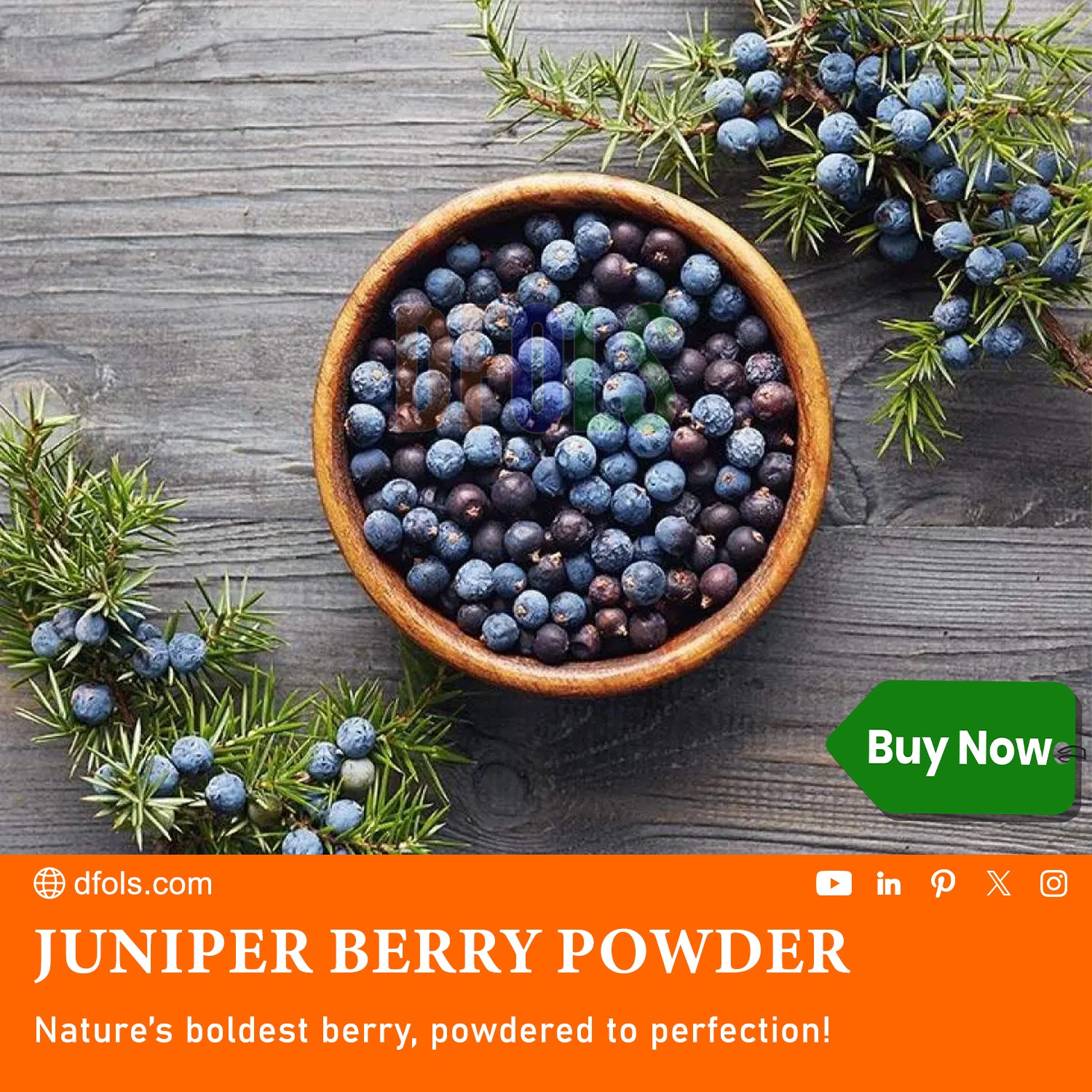 Juniper Berry Powder – 100% Pure & Natural | Premium Culinary Spice & Herbal Supplement | Ideal for Cooking, Detox, Wellness & Medicinal Use - DFOLS