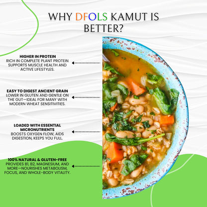 DFOLS Organic Kamut | 100% Natural Ancient Grain | High-Protein, Fiber-Rich Superfood | Pesticide-Free Whole Grain Wheat | Premium Quality for Healthy Cooking