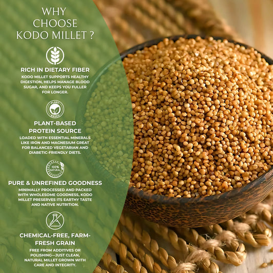 DFOLS Organic Kodo Millet | Natural, Gluten-Free Super Grain | High Fiber & Protein | Hand-Picked, Pesticide-Free Premium Millet