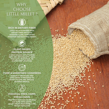 DFOLS Little Millet Whole Grain Light 0.55lb 8.82oz 250g リトルミレット