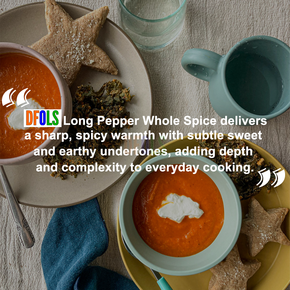 DFOLS Long Pepper Whole Spice Cooking 0.22lb 3.5oz 100g ヒハツ