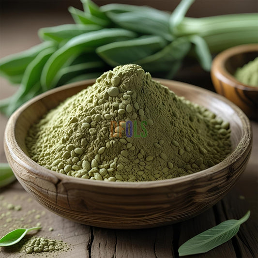 Premium Lovage Seed Powder – Organic, All-Natural Culinary and Medicinal Herb - DFOLS