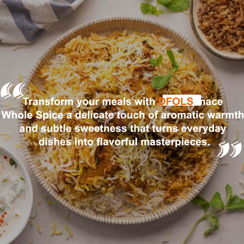 DFOLS Mace Whole Spice Cooking 0.22lb 3.5oz 100g メースパウダー