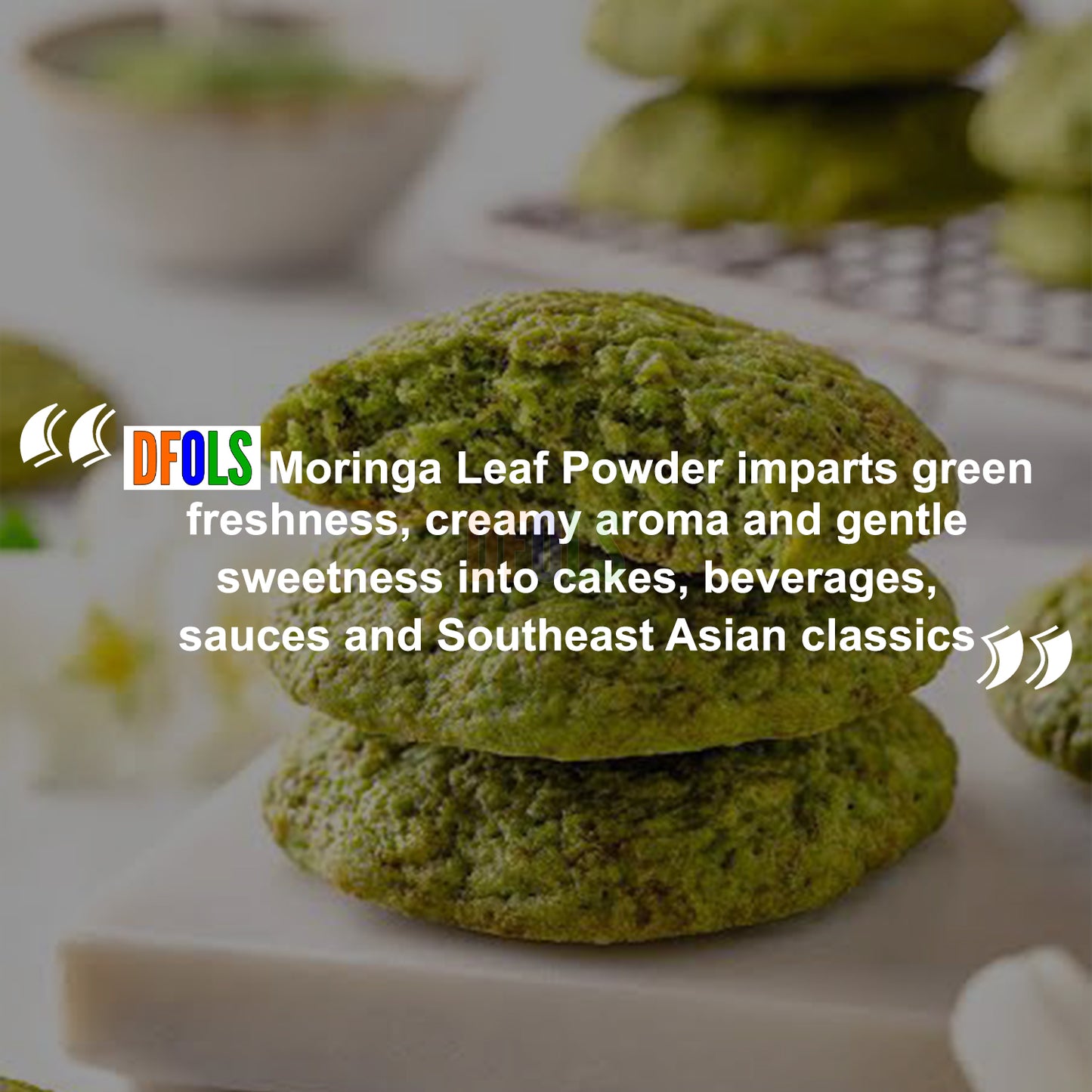 Moringa Powder for Energy & Wellness | Non-GMO, Gluten-Free Superfood | Natural Vitamin-Rich Green Powder for Immunity, Detox, Digestion & Overall Health