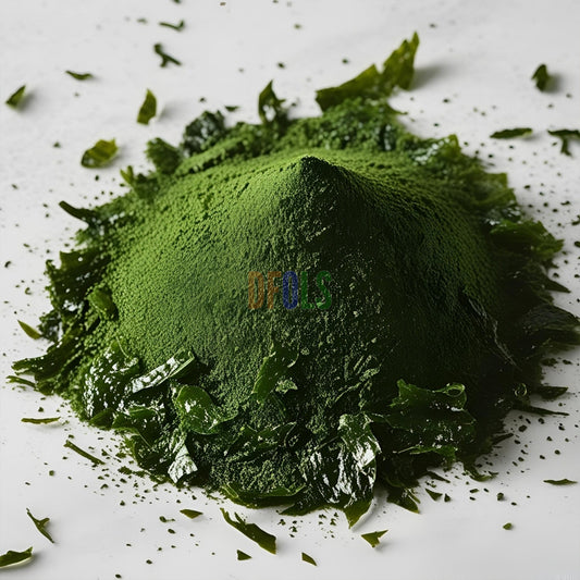 Raw Nori Powder | 100% Pure Green Seaweed Powder | Vegan, Non-GMO, No Additives | Premium Japanese Nori for Cooking, Smoothies, Seasoning & Health Benefits | Natural Sea Vegetable - DFOLS
