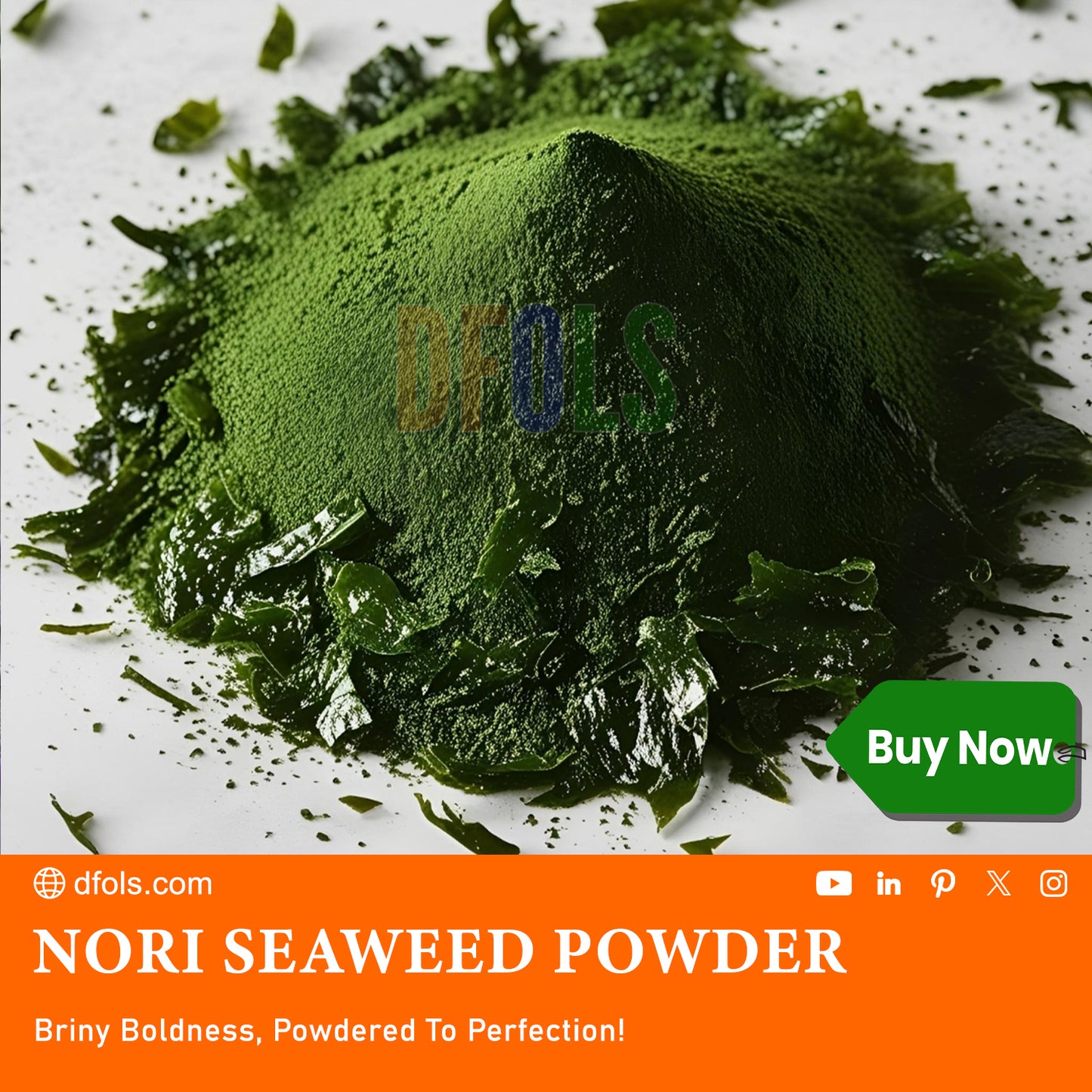Raw Nori Powder | 100% Pure Green Seaweed Powder | Vegan, Non-GMO, No Additives | Premium Japanese Nori for Cooking, Smoothies, Seasoning & Health Benefits | Natural Sea Vegetable - DFOLS