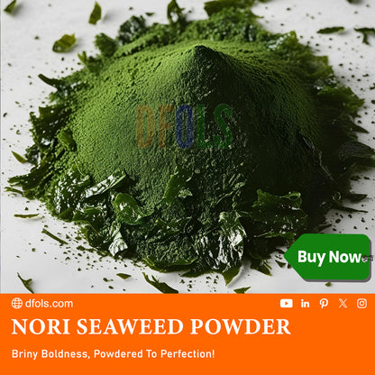 Raw Nori Powder | 100% Pure Green Seaweed Powder | Vegan, Non-GMO, No Additives | Premium Japanese Nori for Cooking, Smoothies, Seasoning & Health Benefits | Natural Sea Vegetable - DFOLS