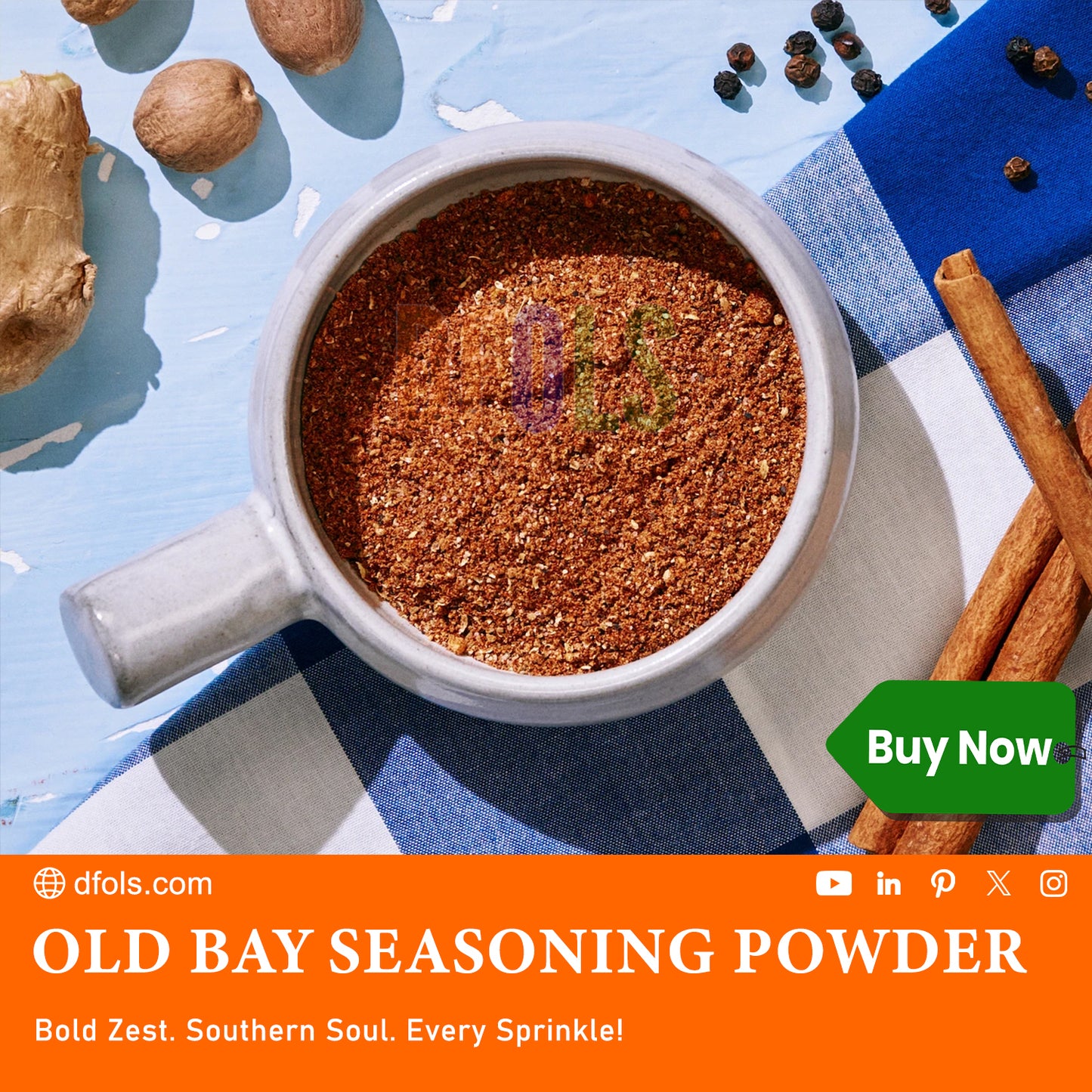 OLD BAY Seasoning, 1 lb All-Purpose Seafood & Meat Spice Blend for Crabs, Shrimp, Chicken, Chowder, Fries & More – Classic Flavor Enhancer for Cooking and Grilling - DFOLS