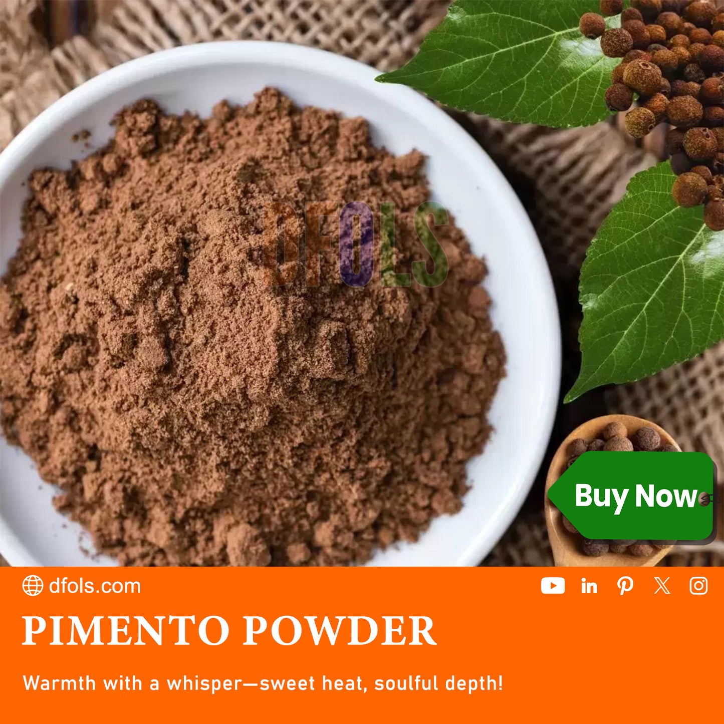 100% Pure, Versatile Spice for Baking, Cooking, and Seasoning – Rich Flavor for Sweet and Savory Recipes - DFOLS