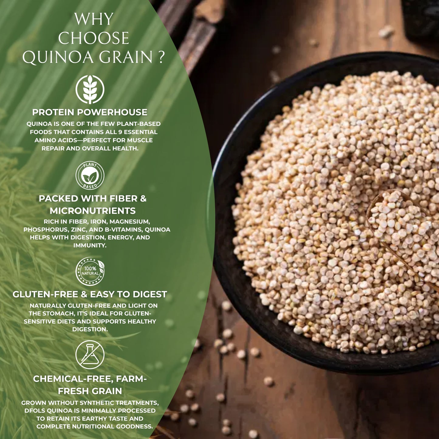 DFOLS Quinoa Whole Grain Light Nutty Cooking  0.55lb 8.82oz 250g  キヌア