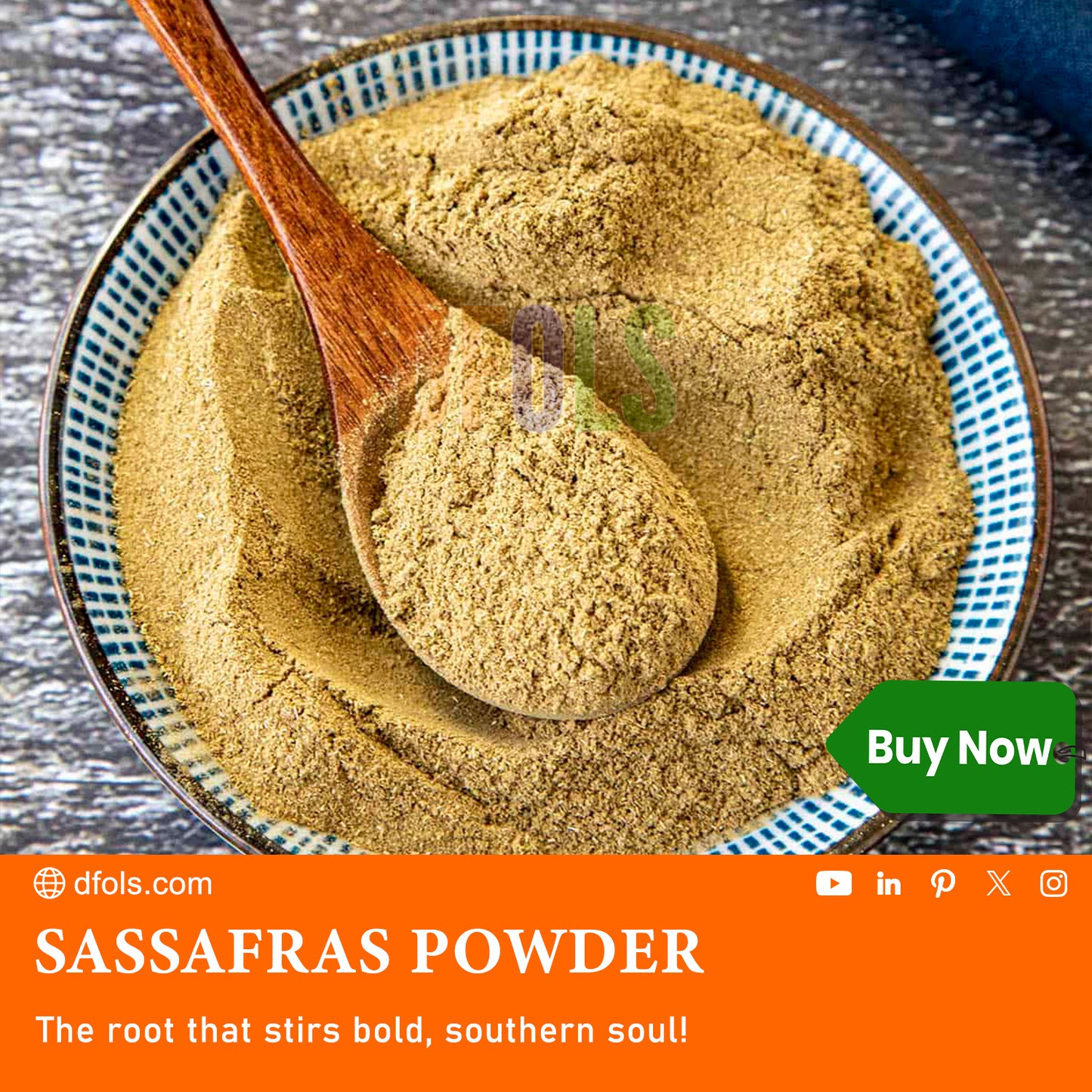 Premium Sassafras Powder – 100% Natural, Authentic Flavor for Cooking, Baking & Herbal Remedies - DFOLS