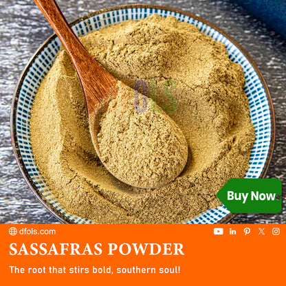 Premium Sassafras Powder – 100% Natural, Authentic Flavor for Cooking, Baking & Herbal Remedies - DFOLS