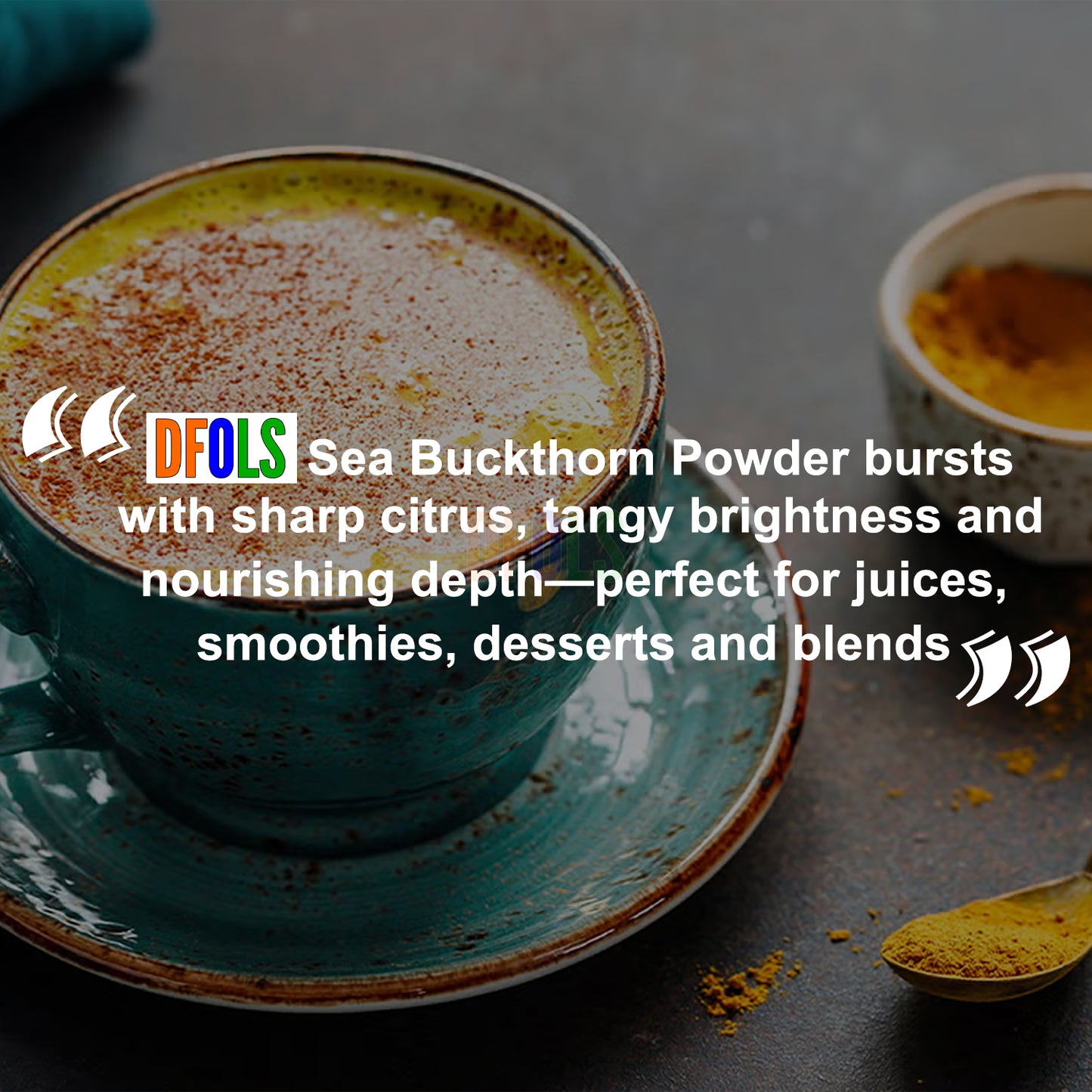 Sea Buckthorn Powder | Natural Immunity Booster | Supports Skin Glow, Heart Health & Digestion | Vitamin-Rich Superfood for Smoothies, Drinks & Daily Wellness