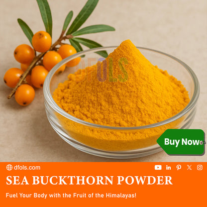 Sea Buckthorn Powder | Natural Immunity Booster | Supports Skin Glow, Heart Health & Digestion | Vitamin-Rich Superfood for Smoothies, Drinks & Daily Wellness