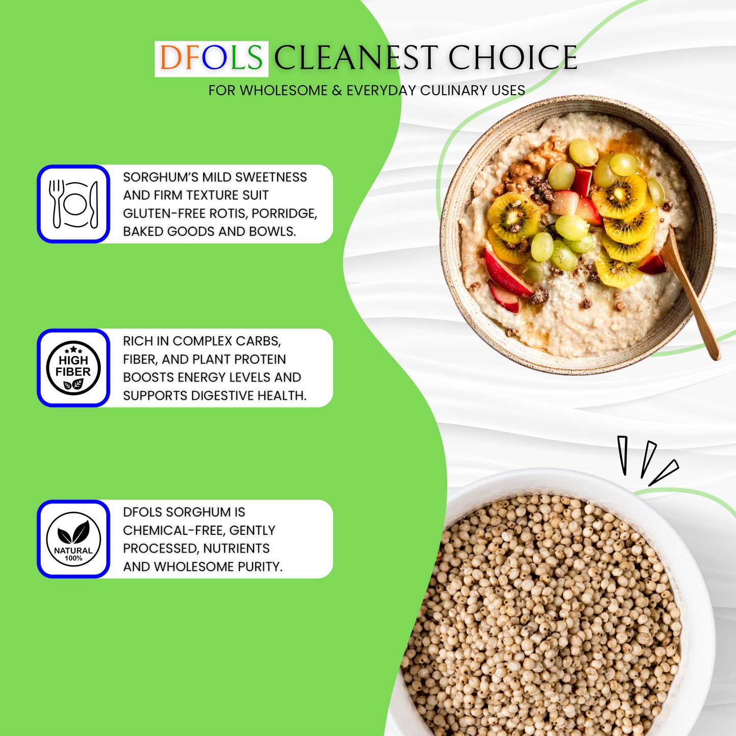 DFOLS Sorghum Whole Grain Mild Earthy 0.55lb 8.82oz 250g ソルガム