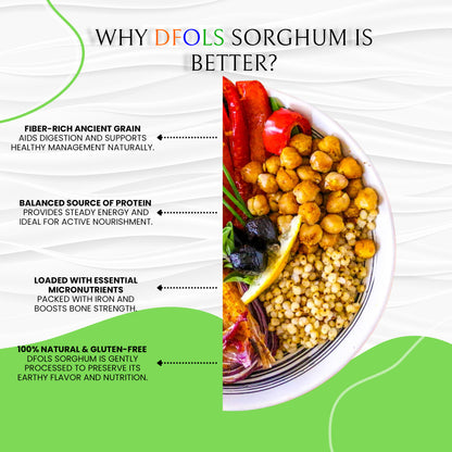 DFOLS Sorghum Whole Grain Mild Earthy 0.55lb 8.82oz 250g ソルガム