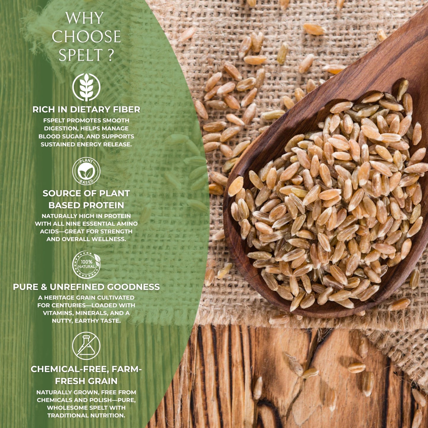 DFOLS Premium Spelt High in Fiber, Protein & Minerals | Vegan, Non-GMO, Easily Digestible | Ideal for Bread, Porridge & Healthy Meals