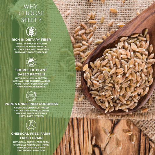 DFOLS Premium Spelt High in Fiber, Protein & Minerals | Vegan, Non-GMO, Easily Digestible | Ideal for Bread, Porridge & Healthy Meals
