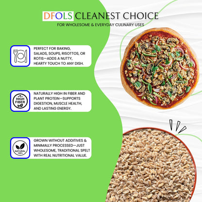 DFOLS Premium Spelt High in Fiber, Protein & Minerals | Vegan, Non-GMO, Easily Digestible | Ideal for Bread, Porridge & Healthy Meals
