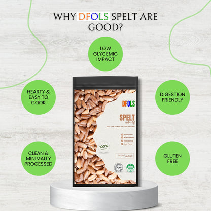 DFOLS Premium Spelt High in Fiber, Protein & Minerals | Vegan, Non-GMO, Easily Digestible | Ideal for Bread, Porridge & Healthy Meals