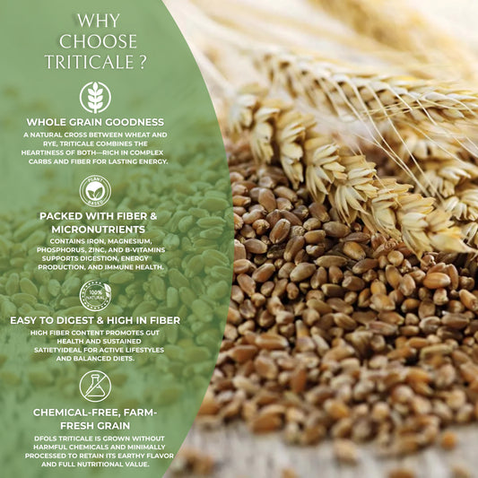 DFOLS Triticale Whole Grain Wheat Rye Cooking 0.55lb 8.82oz 250g トリティケール