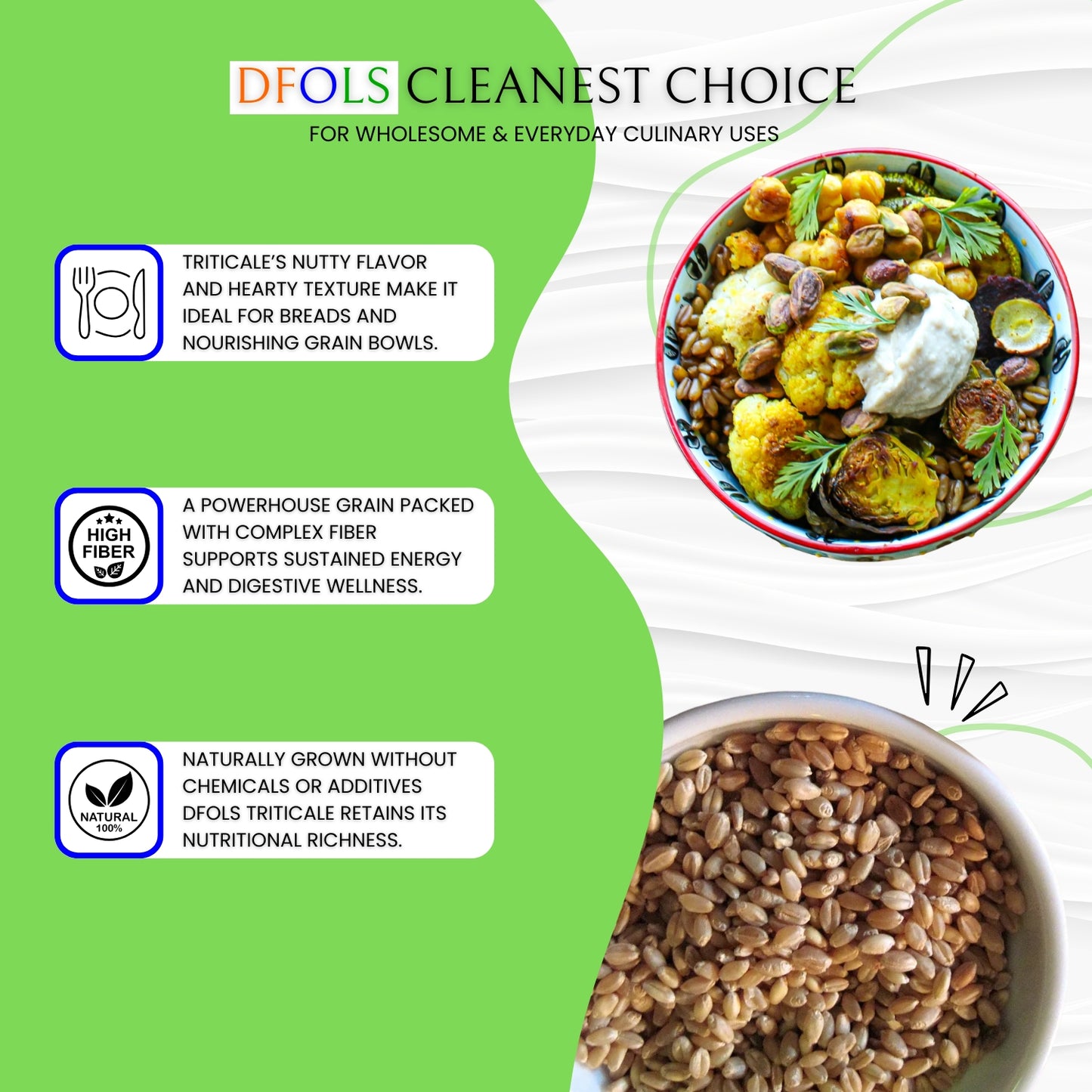 Organic Triticale | High-Fiber Whole Grain Superfood | Pesticide-Free & Hand-Picked | Ideal for Sprouting, Baking, Cereals & Healthy Diets