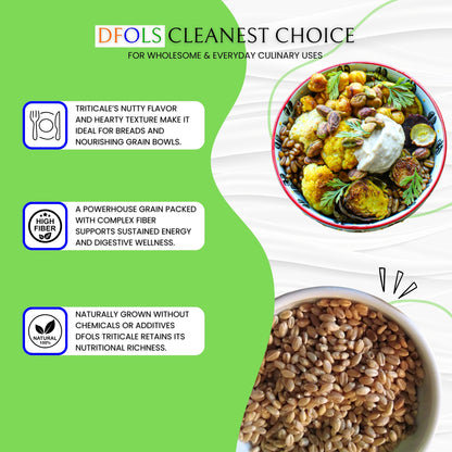 Organic Triticale | High-Fiber Whole Grain Superfood | Pesticide-Free & Hand-Picked | Ideal for Sprouting, Baking, Cereals & Healthy Diets