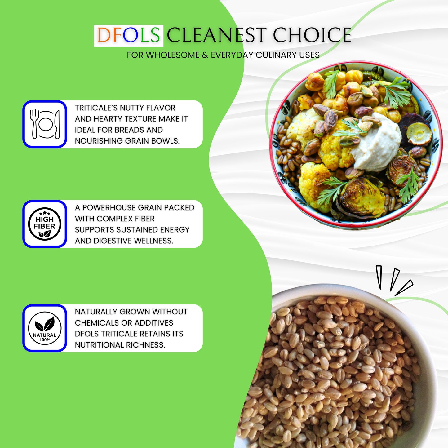 DFOLS Triticale Whole Grain Wheat Rye Cooking 0.55lb 8.82oz 250g トリティケール