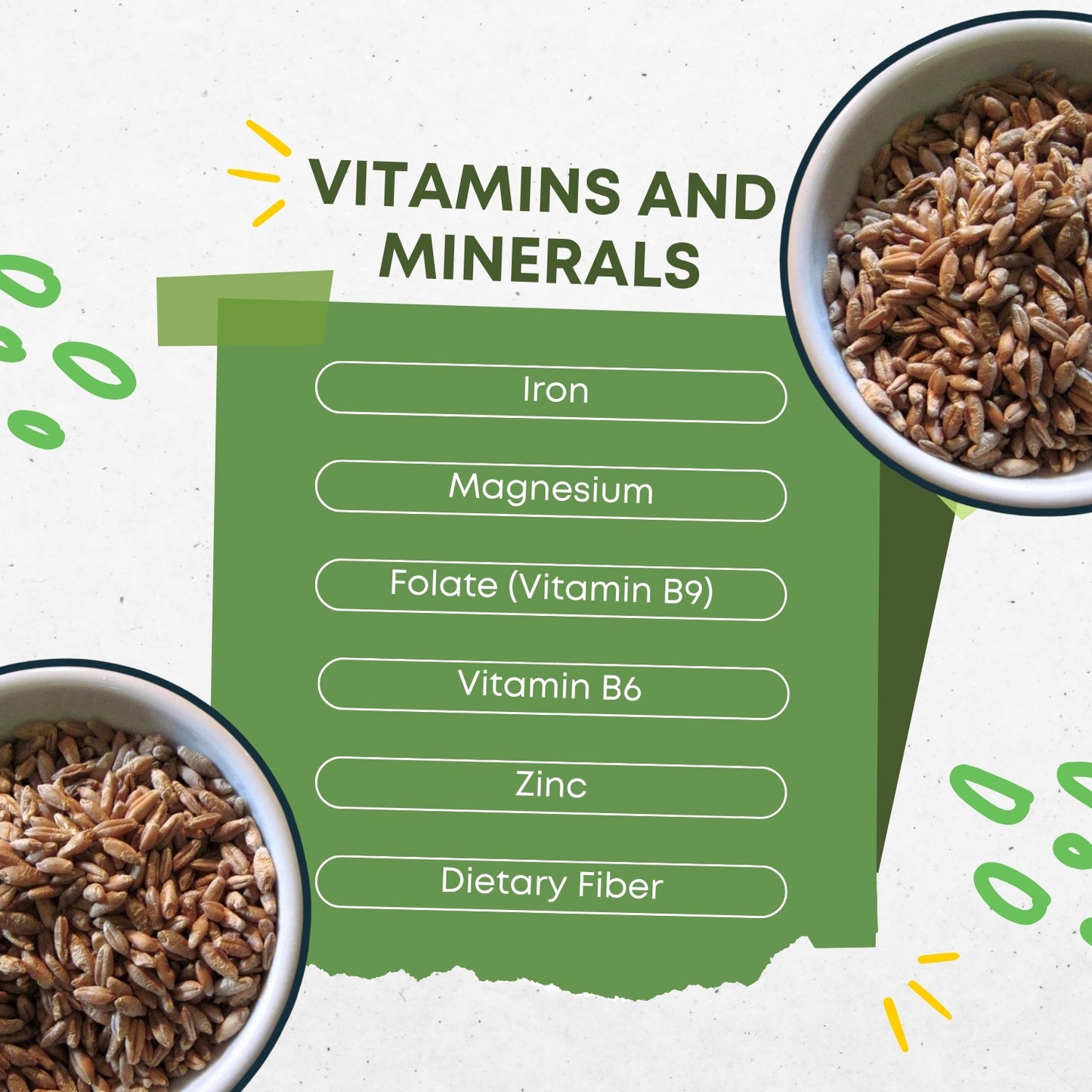 Organic Triticale | High-Fiber Whole Grain Superfood | Pesticide-Free & Hand-Picked | Ideal for Sprouting, Baking, Cereals & Healthy Diets