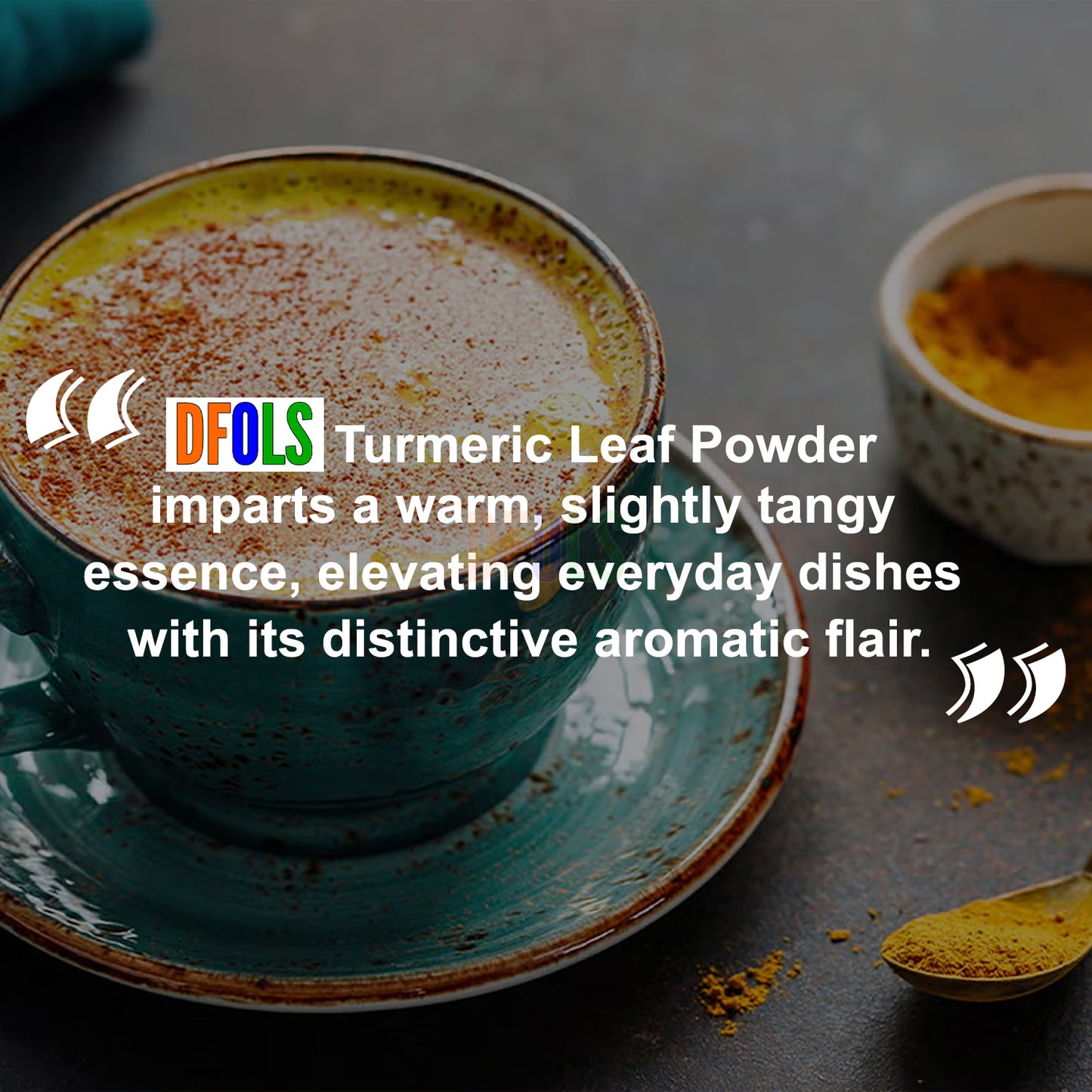Organic Turmeric Leaf Powder | 100% Pure & Natural Herbal Supplement | Non-GMO | Supports Immunity, Digestion & Overall Wellness | Fine Powder for Daily Health Boost - DFOLS