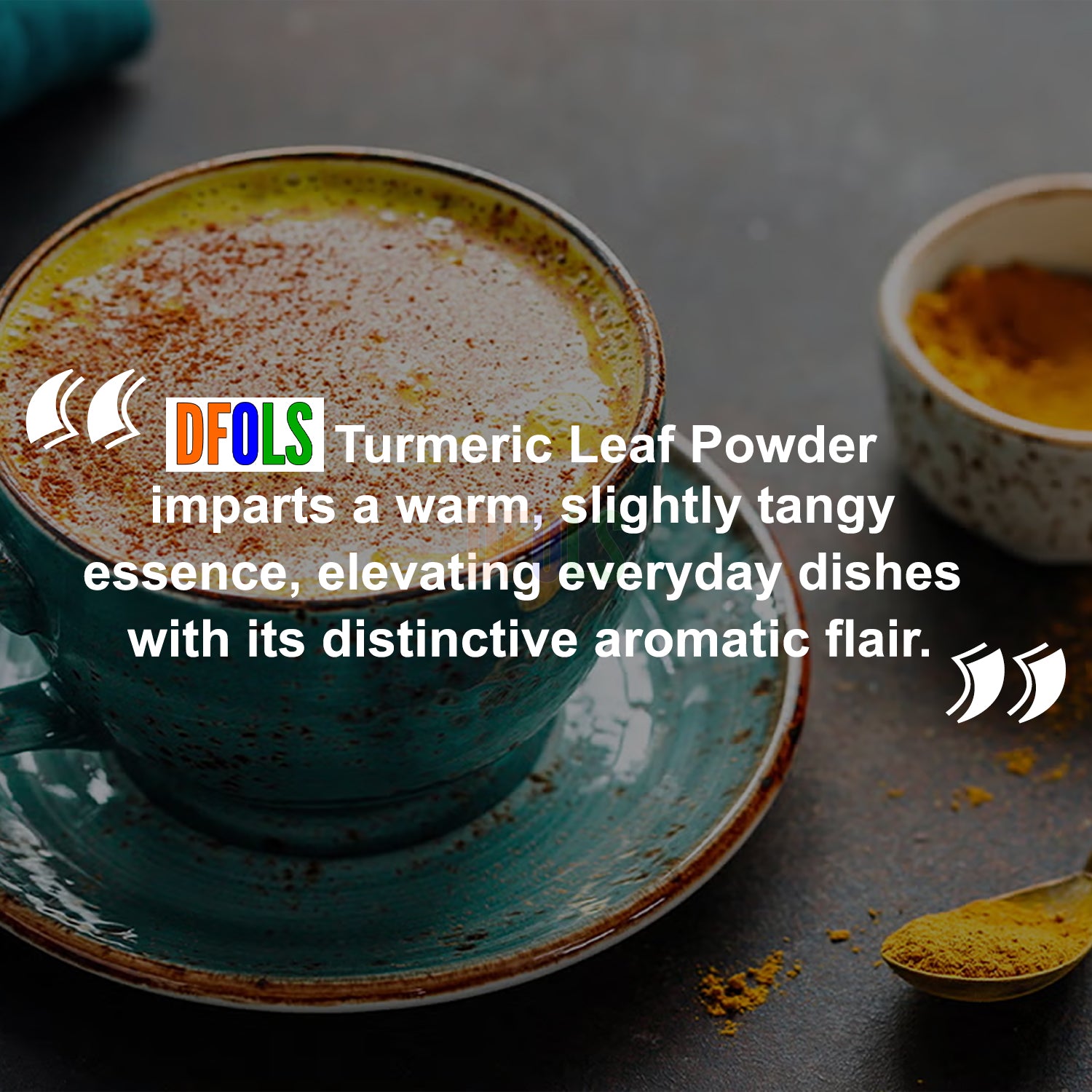 Organic Turmeric Leaf Powder | 100% Pure & Natural Herbal Supplement | Non-GMO | Supports Immunity, Digestion & Overall Wellness | Fine Powder for Daily Health Boost - DFOLS