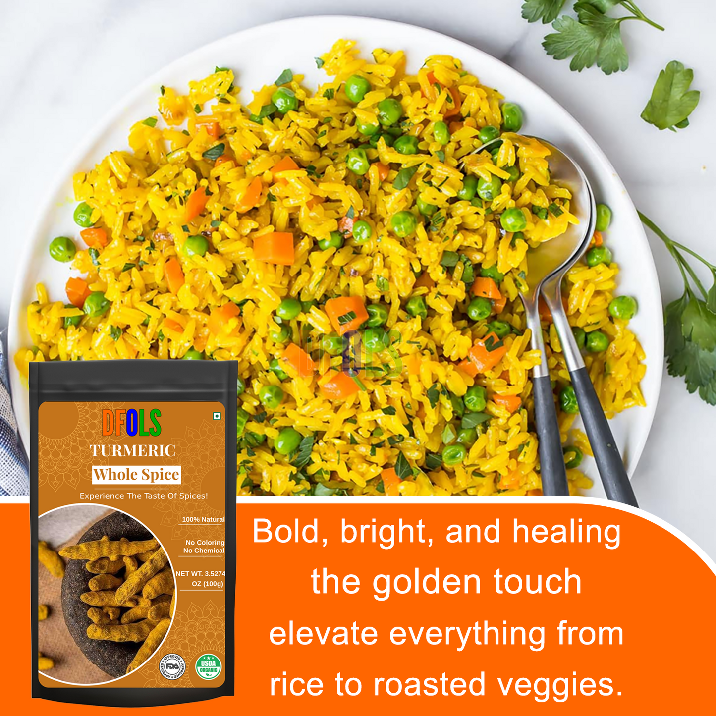 DFOLS Turmeric Whole Spice Cooking 0.22lb 3.5oz 100g ターメリック