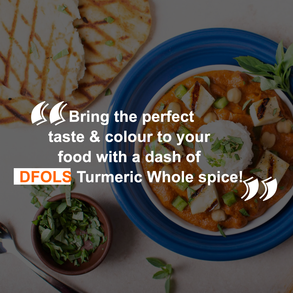 DFOLS Turmeric Whole Spice Cooking 0.22lb 3.5oz 100g ターメリック