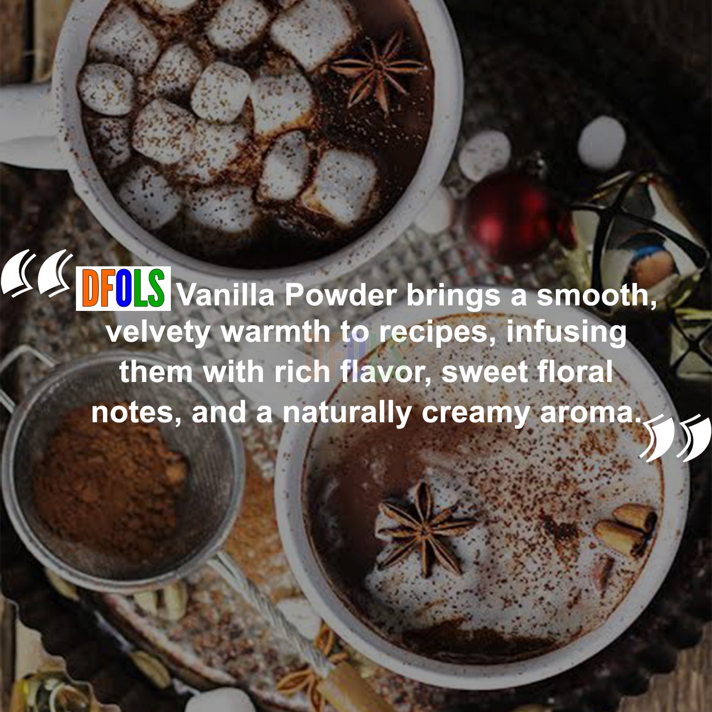 Organic Vanilla Bean Powder 100g (3.5 oz) | Pure & Natural Ground Vanilla | Rich Aroma & Sweet Flavor | Premium Baking Ingredient - DFOLS