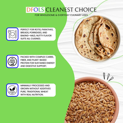 DFOLS Premium Organic Wheat | Natural, Non-GMO, Hand-Picked Grains | High in Protein, Fiber & Iron | Ideal for Rotis, Breads & Healthy Cooking