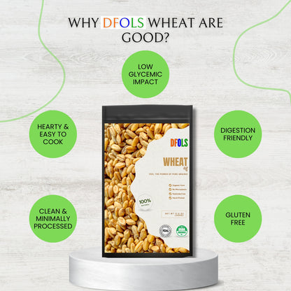 DFOLS Premium Organic Wheat | Natural, Non-GMO, Hand-Picked Grains | High in Protein, Fiber & Iron | Ideal for Rotis, Breads & Healthy Cooking