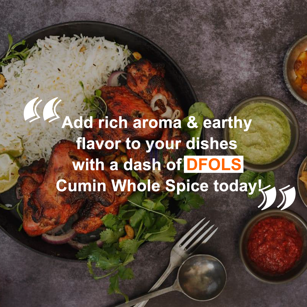 DFOLS Cumin Whole Spice Cooking 0.22lb 3.5oz 100g クミンパウダー