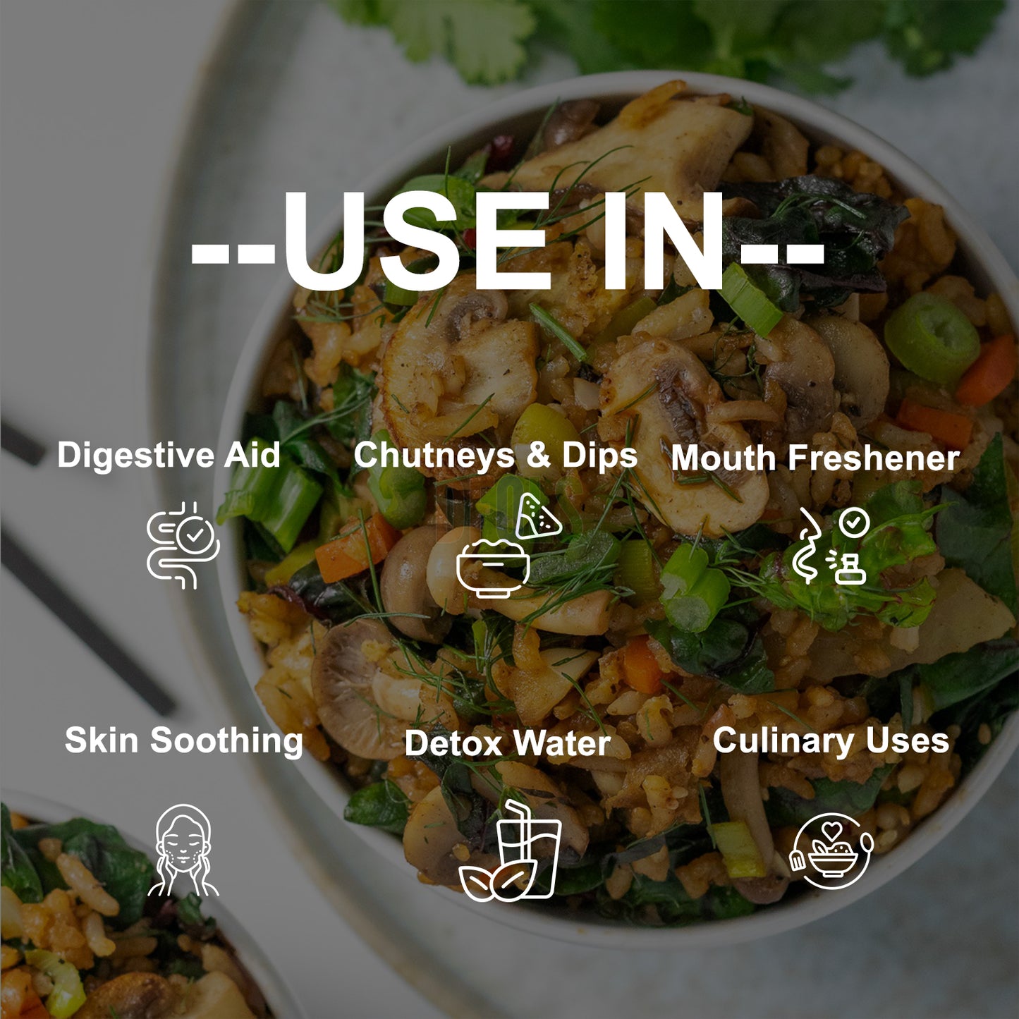 Fennel Powder | Aromatic Ground Spice for Curries, Masalas, Desserts & Herbal Tea | Sweet, Fragrant & Flavorful Cooking Ingredient - DFOLS